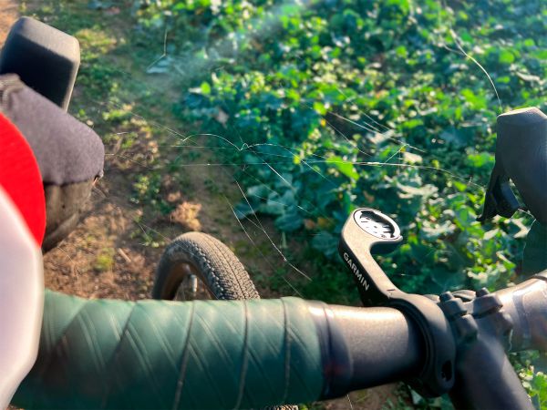 Ridley Kanzo Adventure