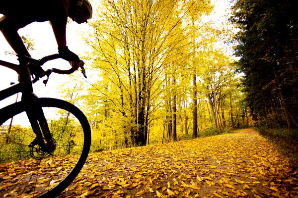 Ridley Kanzo Adventure