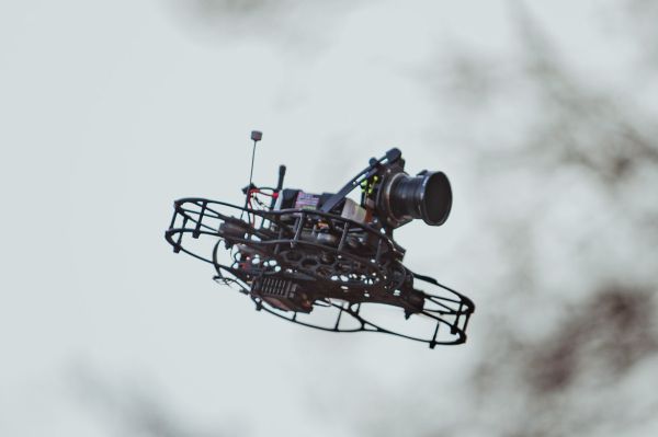 MS Hoogerheide 2023 - střípky