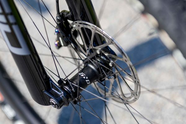 Ghost Lector FS World Cup