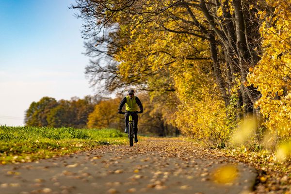 Crussis PAN-Largo 9.8