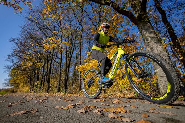 Crussis PAN-Largo 9.8