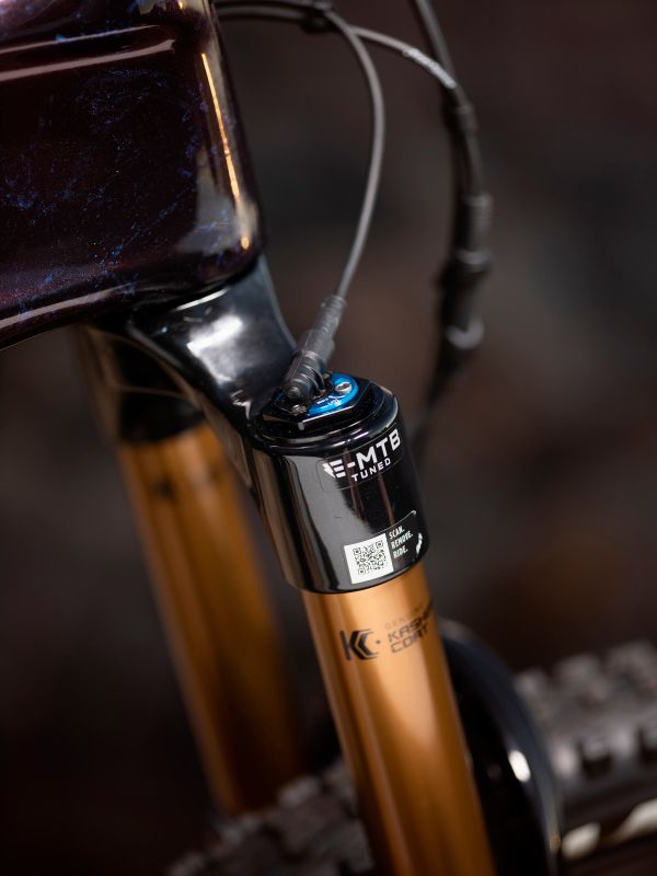 Giant Trance X Advanced E+