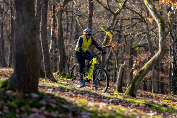 Crussis PAN-Largo 9.8