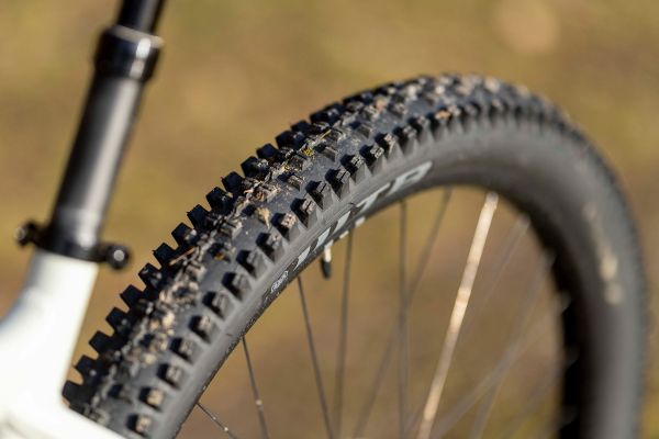 Rock Machine Blizz TRL 2023