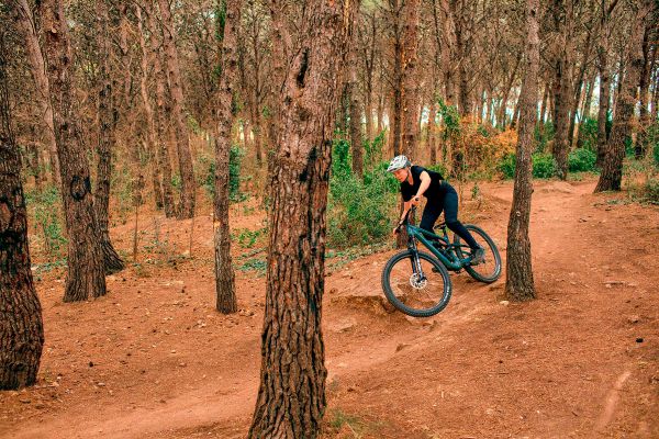 Cannondale Habit 2023