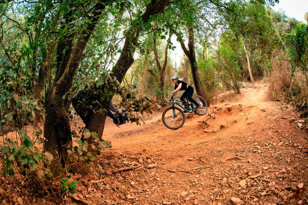 Cannondale Habit 2023