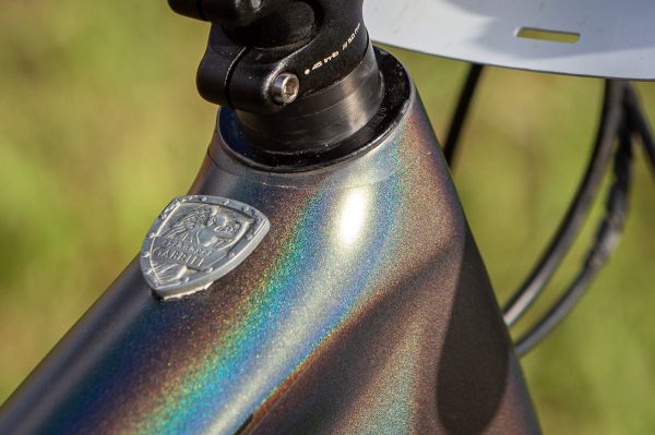 Specialized Epic EVO Matta Beerse