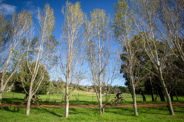 Cape Epic 2023 - 7. etapa - Vaky s Marcem