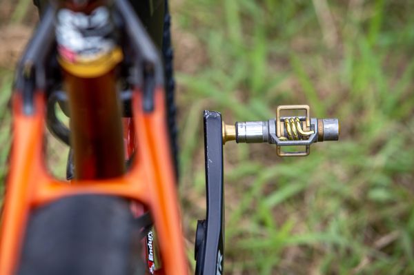 Specialized Epic EVO Kateřiny Nash