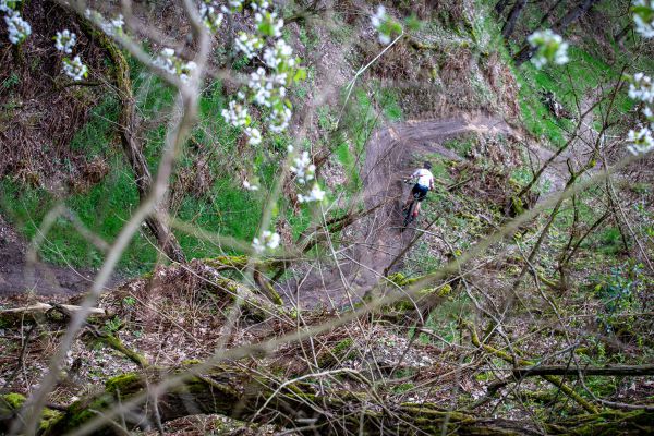 Český pohár XCO #2 - Město Touškov 2023