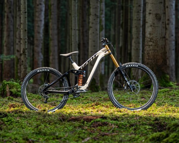 Giant Glory Advanced 2024