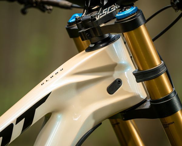 Giant Glory Advanced 2024