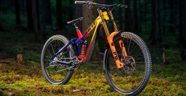 Giant Glory Advanced 2024