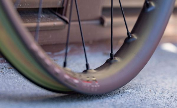 Zookee prezentace 2023