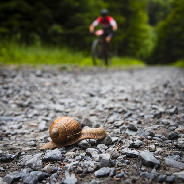 Kolo pro život - Drásal 2023