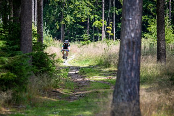 Test Wilier Rave SLR GRX Di2