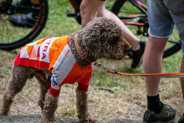 Mistrovství ČR XCO 2023 - štafety, e-bike