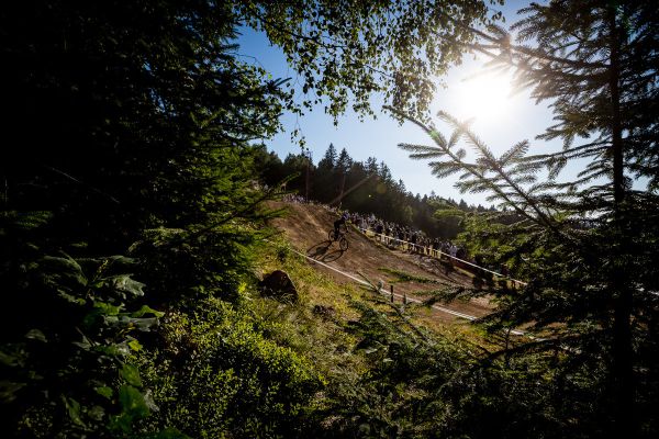 JBC 4X Revelations 2023