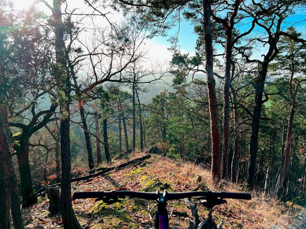 Forbidden Dreadnought SLX