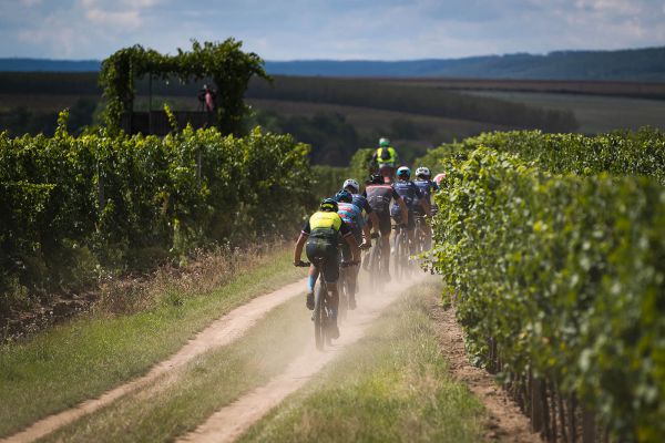 Kolo pro život - Znojmo 2023