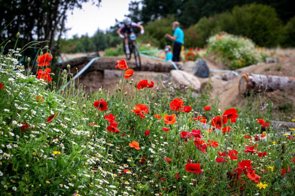 MS 2023 - Glasgow - před 6 týdny zasadili organizátoři semínka kolem trati...