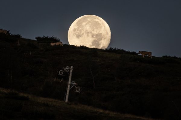 Světový pohár DHI #5 - Loudenvielle