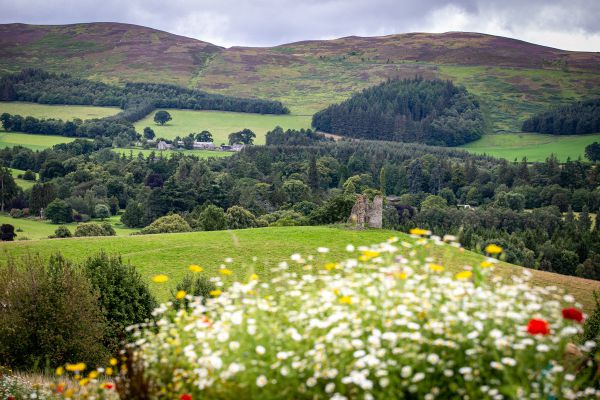 MS 2023 - Glasgow - kulisy nejsou zlé