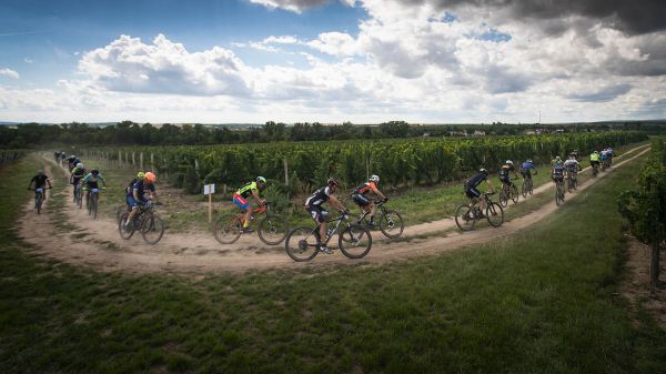 Kolo pro život - Znojmo 2023