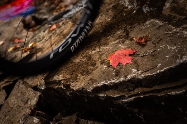 Světový pohár XCO #8 2023 - Mont Sainte Anne