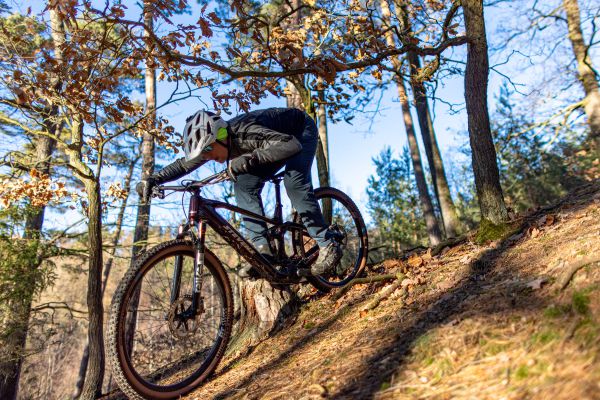 Stevens e-Maverick AM 9.4.3