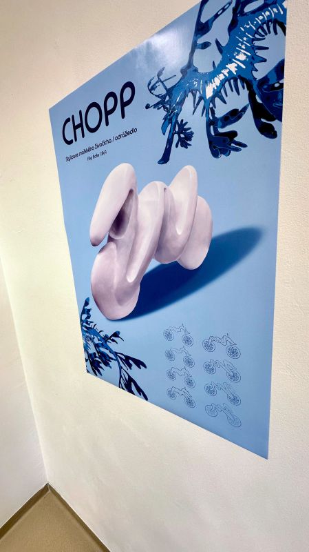 Odrážedla od studentů FUD UJEP