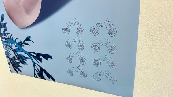 Odrážedla od studentů FUD UJEP