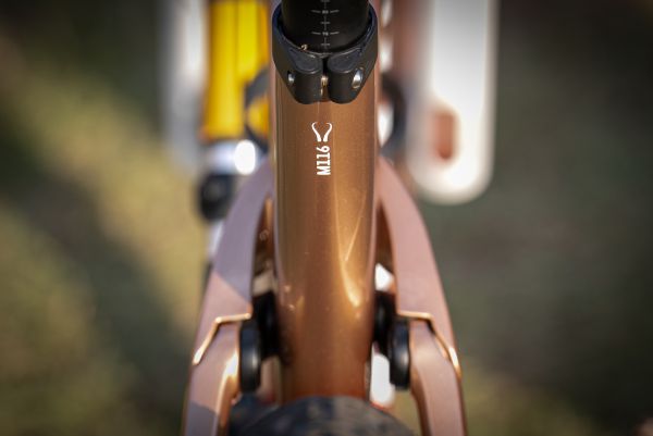 Canyon Lux World Cup CFR Untamed