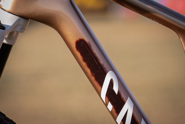 Canyon Lux World Cup CFR Untamed