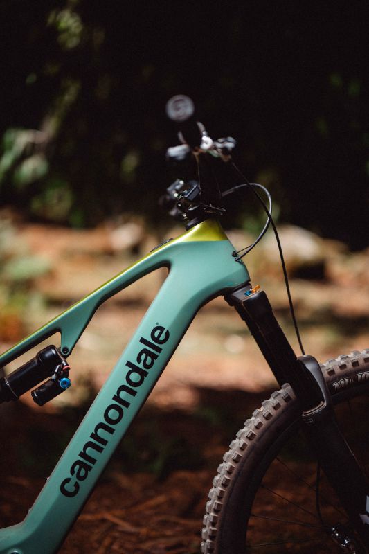 Cannondale Moterra SL