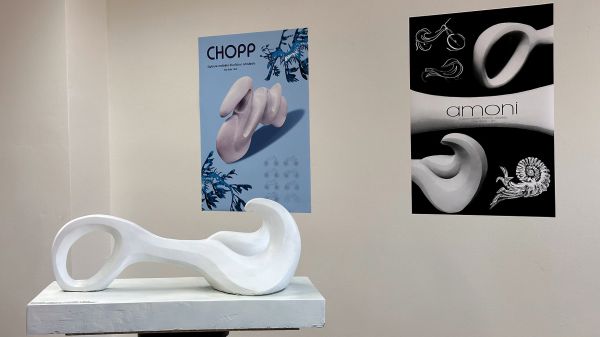 Odrážedla od studentů FUD UJEP