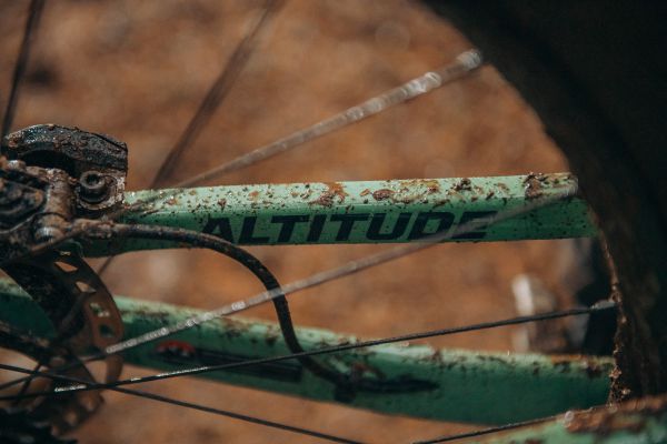 Rocky Mountain Altitude 2024