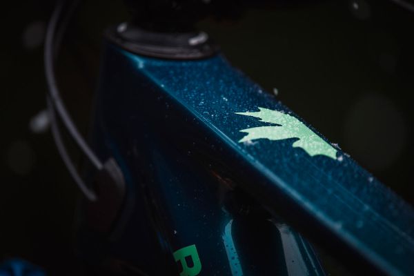 Rocky Mountain Altitude 2024