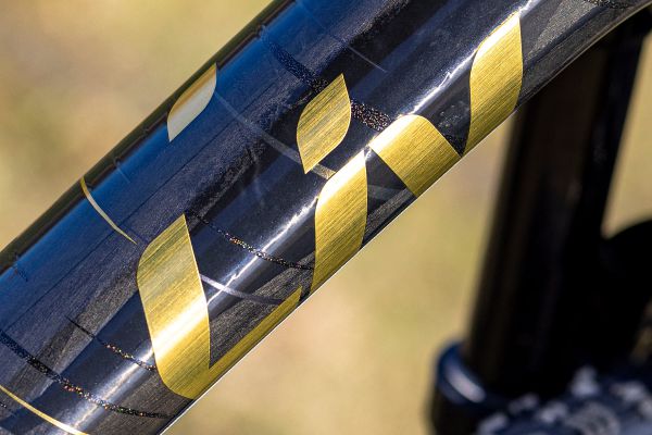 Liv Pique Advanced 29 1