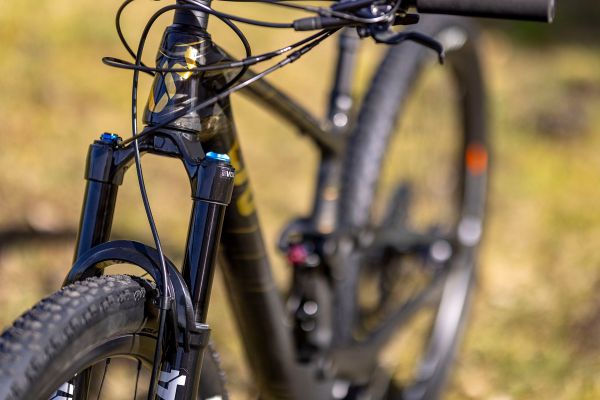 Liv Pique Advanced 29 1