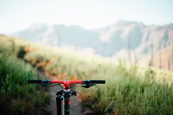 Cannondale Scalpel 2024