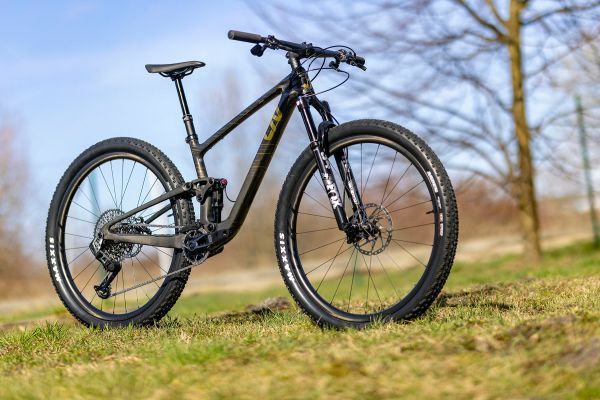 Liv Pique Advanced 29 1