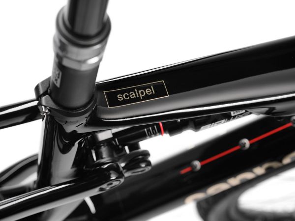 Cannondale Scalpel 2024