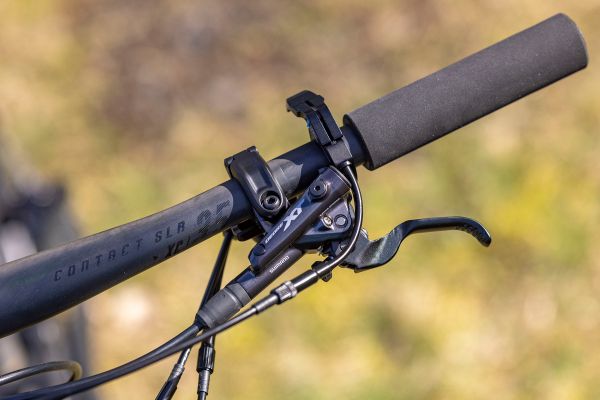 Liv Pique Advanced 29 1