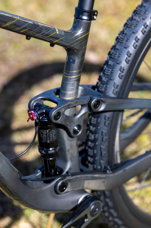 Liv Pique Advanced 29 1