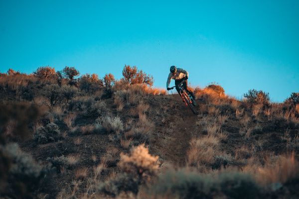 Rocky Mountain Altitude 2024