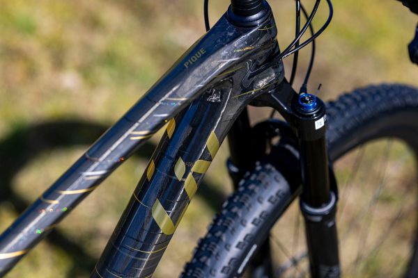 Liv Pique Advanced 29 1