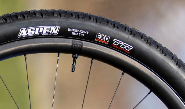 Liv Pique Advanced 29 1