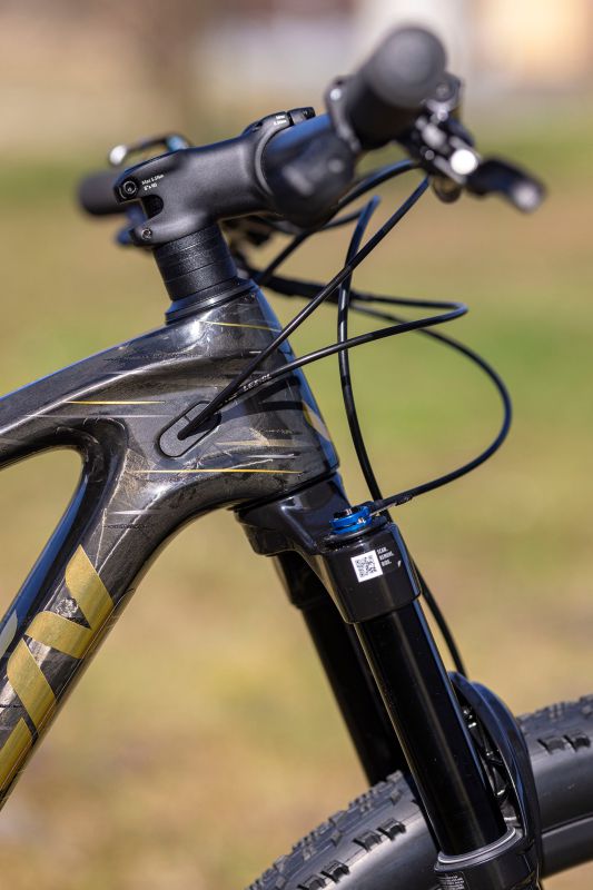 Liv Pique Advanced 29 1